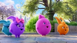 خرگوش های درخشان (کیک)